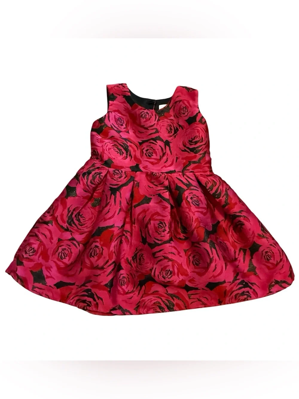 The Children's Place Girls 4T Black Red Rose Floral Party Dress